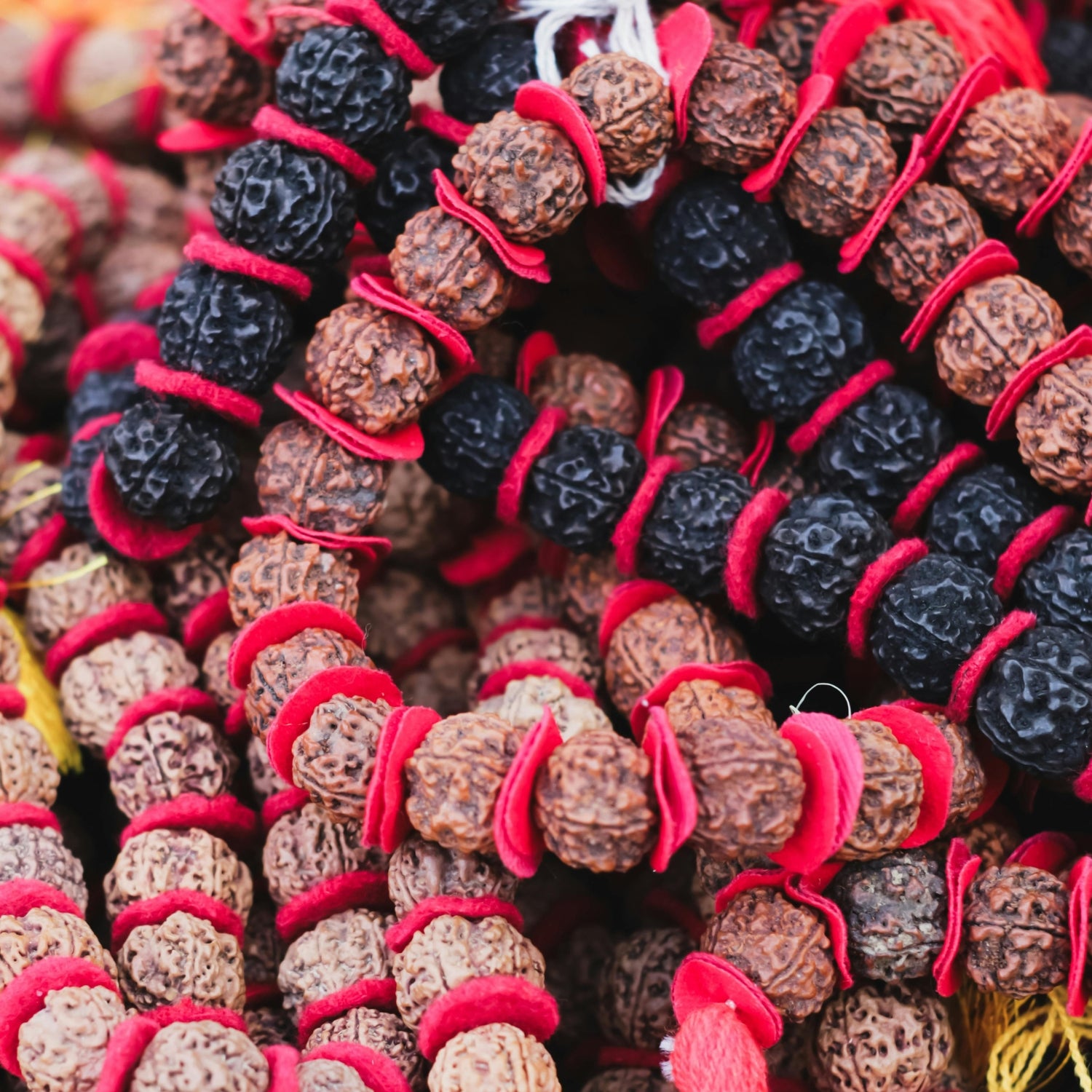 Exploring the Different Types of Rudraksha and Their Spiritual Benefits