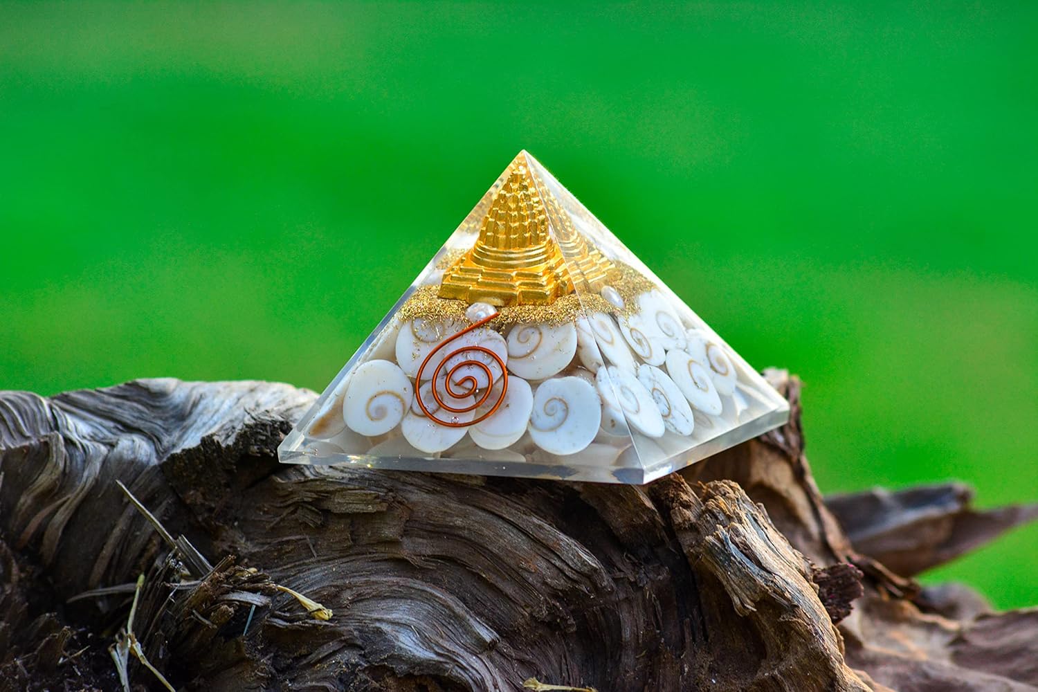 Gomti Chakra Original Shree Yantra Pyramid