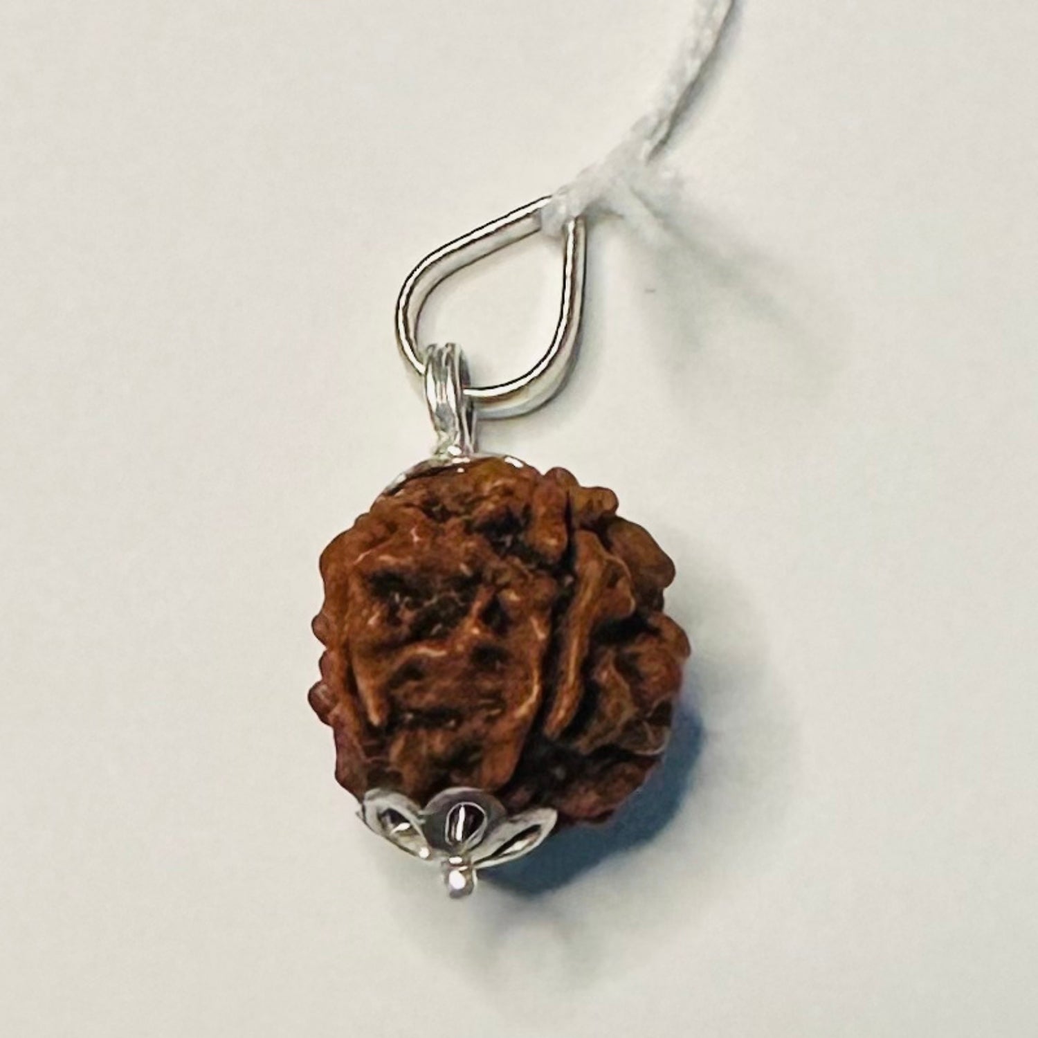 Panchmukhi Five Faced Rudraksha With Silver Capping Pendant)